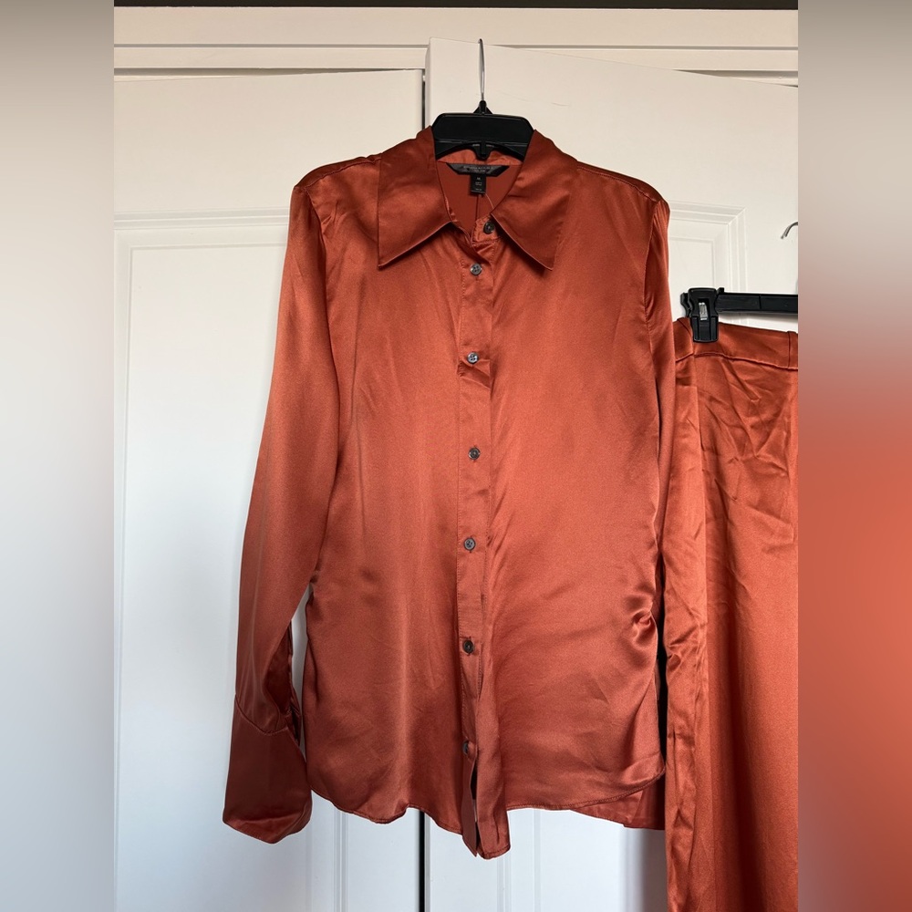 Banana Republic 100% Silk Terracotta Belay Wide-Leg Pants and Button Down - Picture 10 of 15